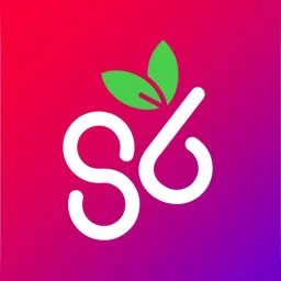 Storeberry logo