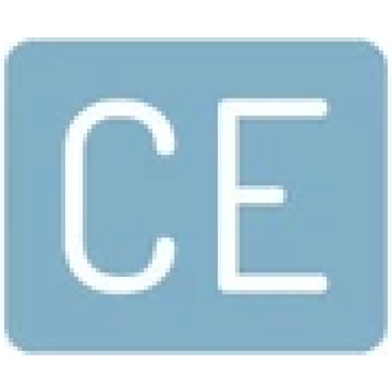 Consumer Edge logo