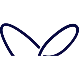 Apic logo