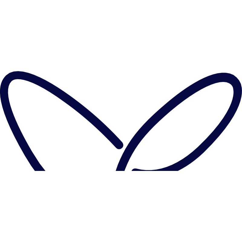 Apic logo