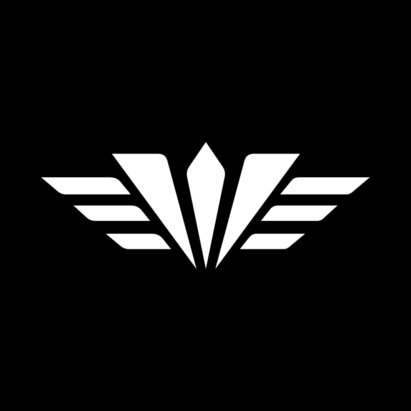 Wingman logo