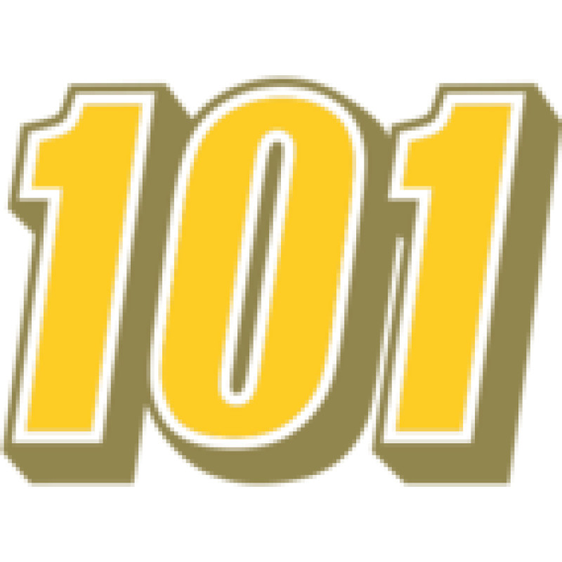 101Domain logo