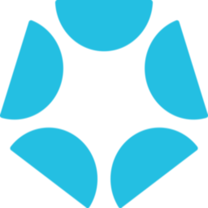 Bodyguard logo