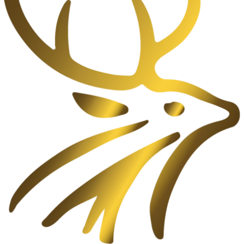 Tampere logo