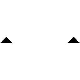 Meera logo