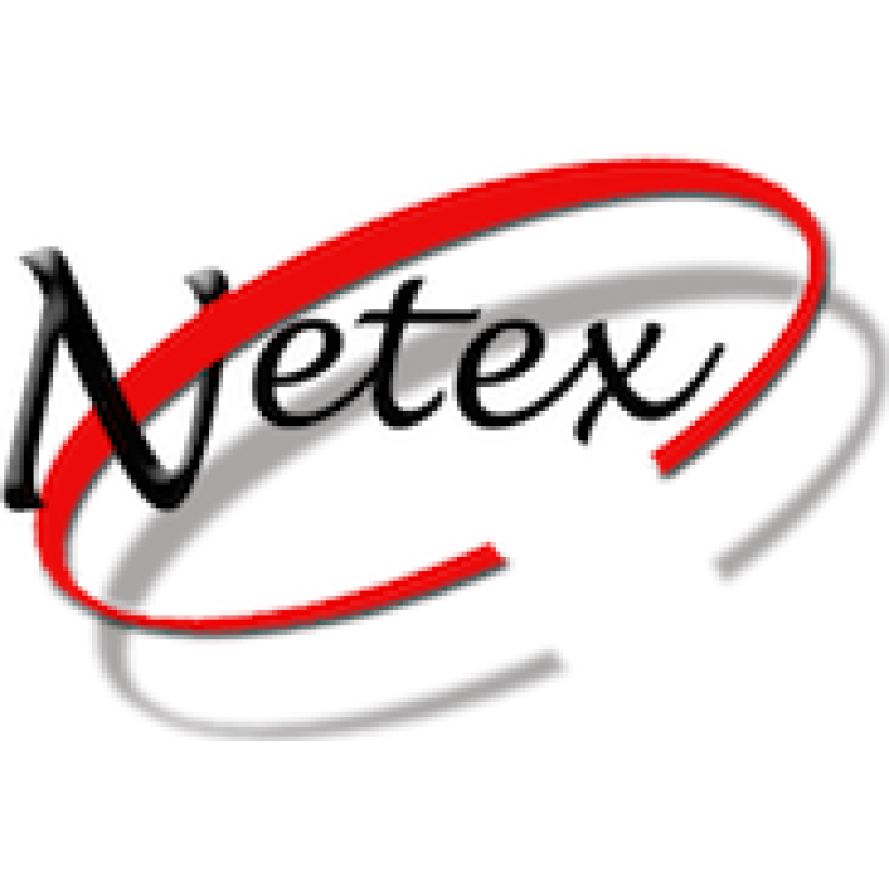 Netex logo