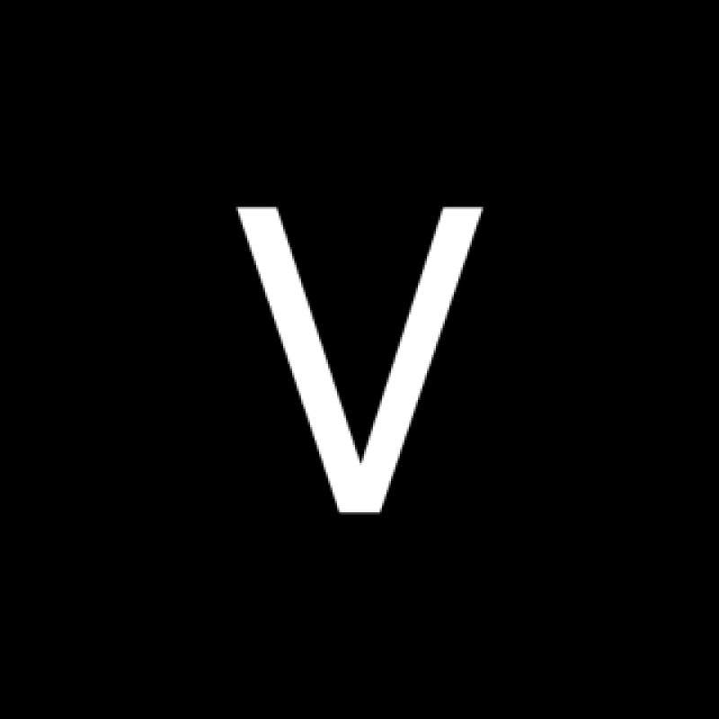 Visionary logo