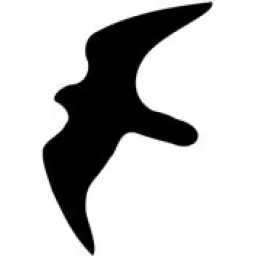 Birdsoutsidemywindow logo