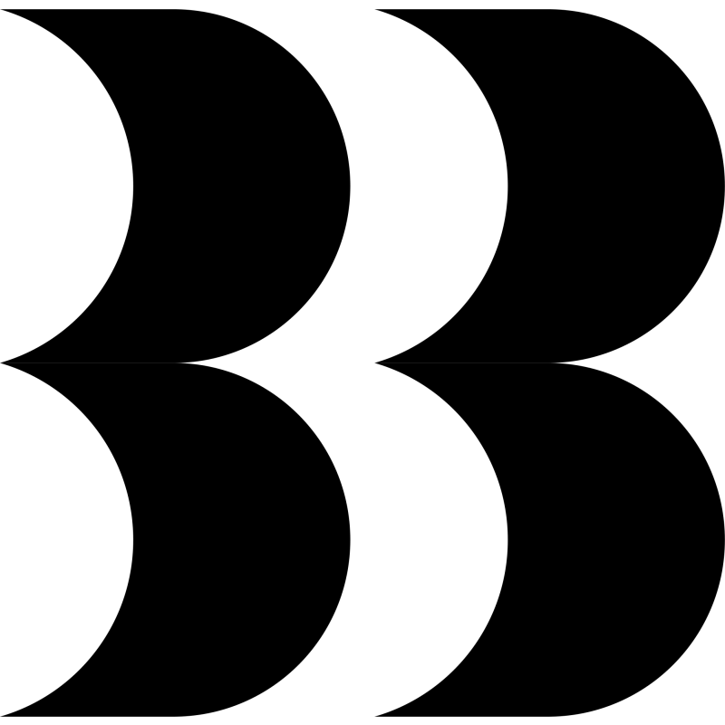 Bravebird logo