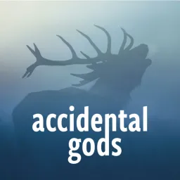 ACCIDENTAL GODS logo