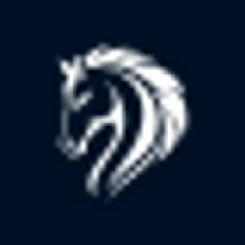 Bluehorse logo