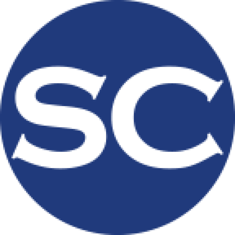 The Sportschosun