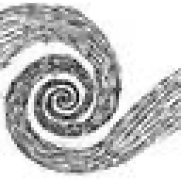 MY SITE logo