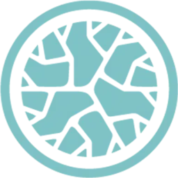 Brainpatch logo