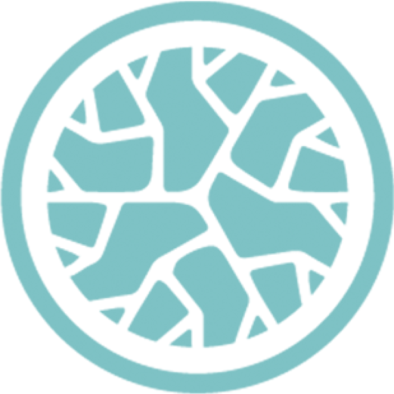 Brainpatch logo