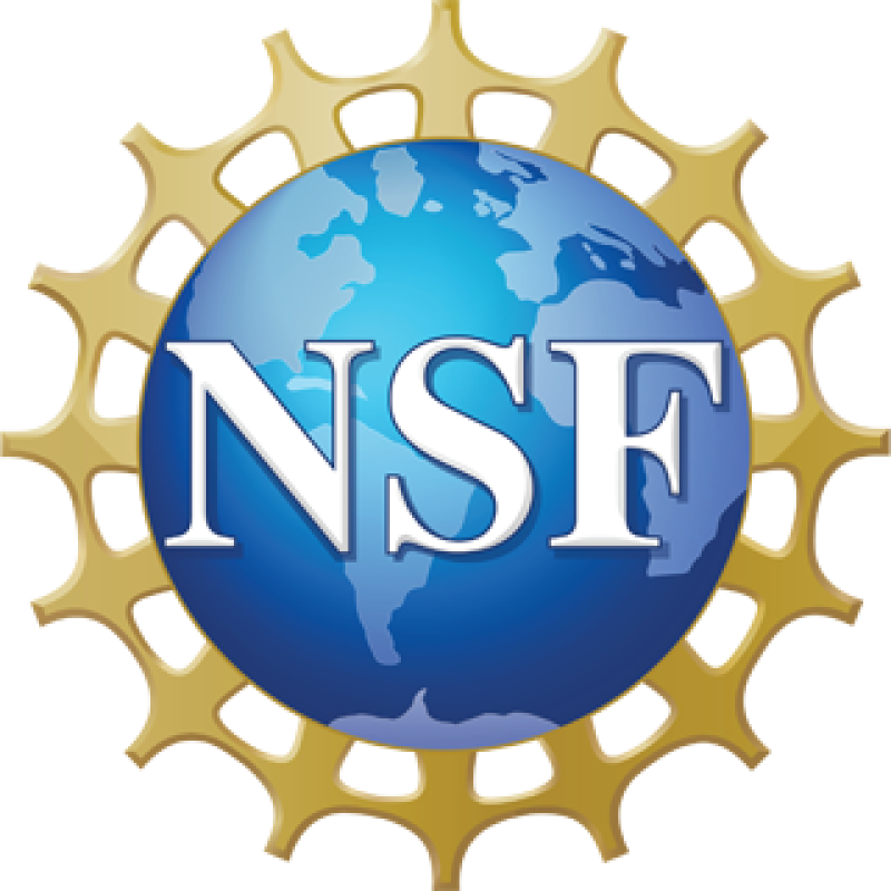 NSF - U.S. National Science Foundation