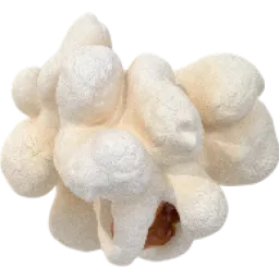 Popcorn logo