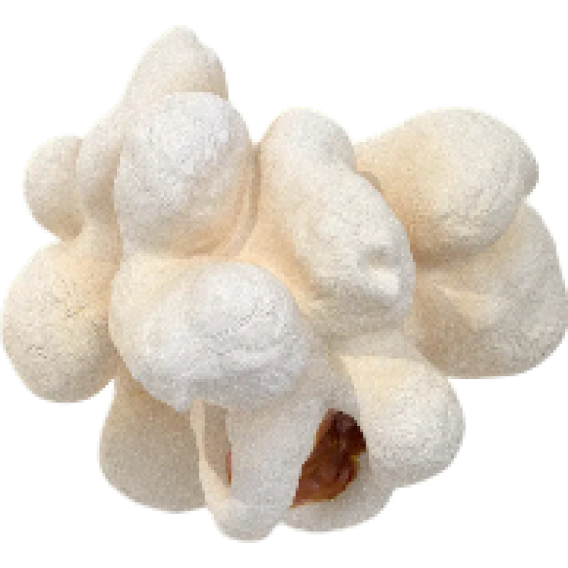 Popcorn logo