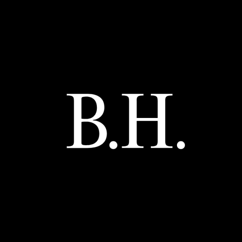 Bosshunting logo