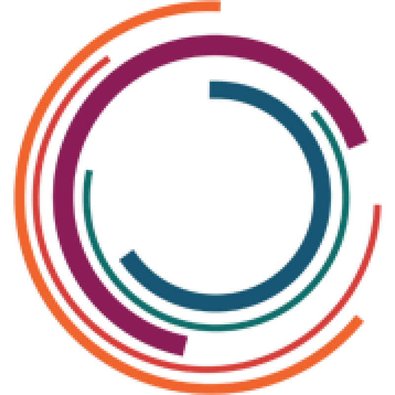 Vidalung logo