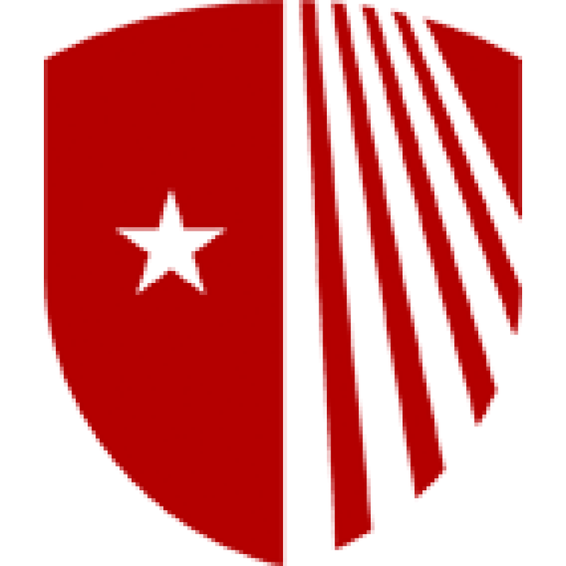 Stonybrook logo