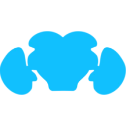 Virtualflybrain logo