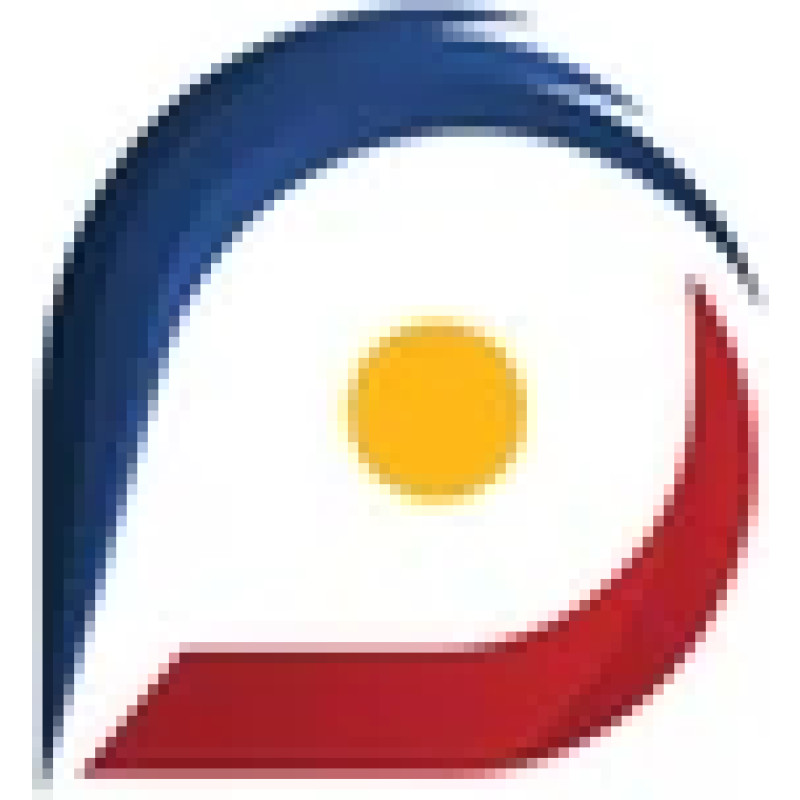 Remotepro Ph logo