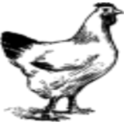 BrianDouglas.ie logo