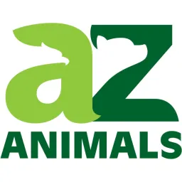 A-Z Animals logo