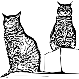 Kiwiziti logo