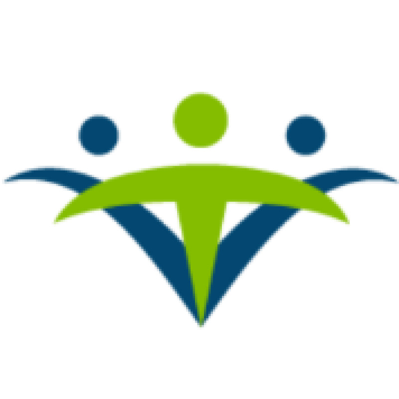 Netsmart Technologies logo
