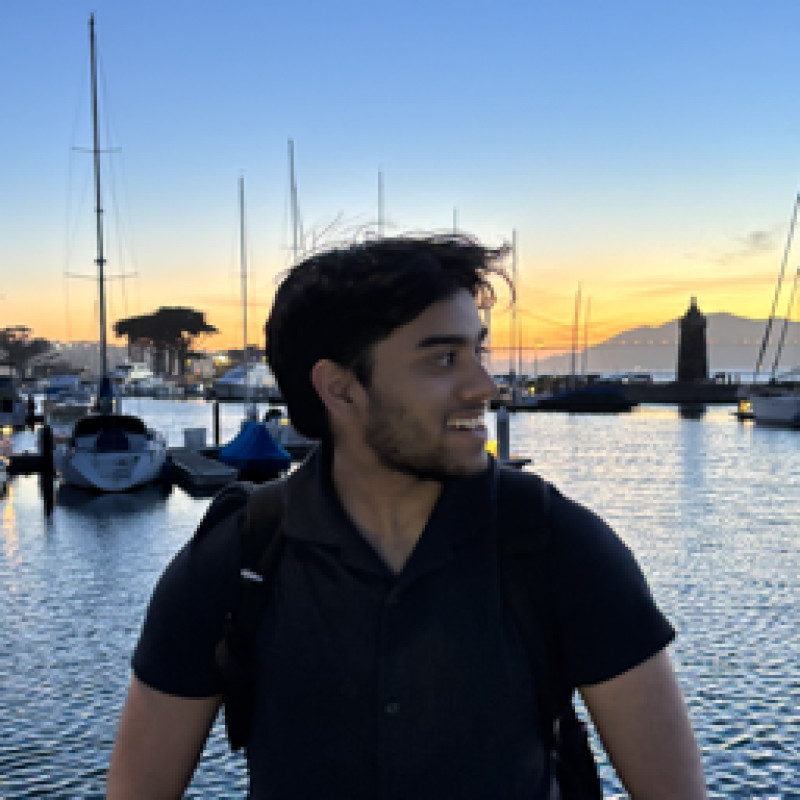 arjunvirk.com