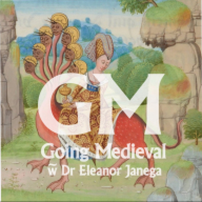 Going Medieval logo