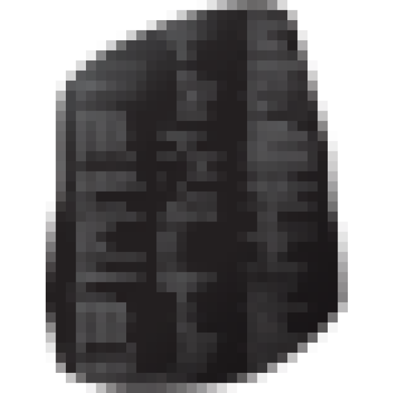 Rosetta Code logo