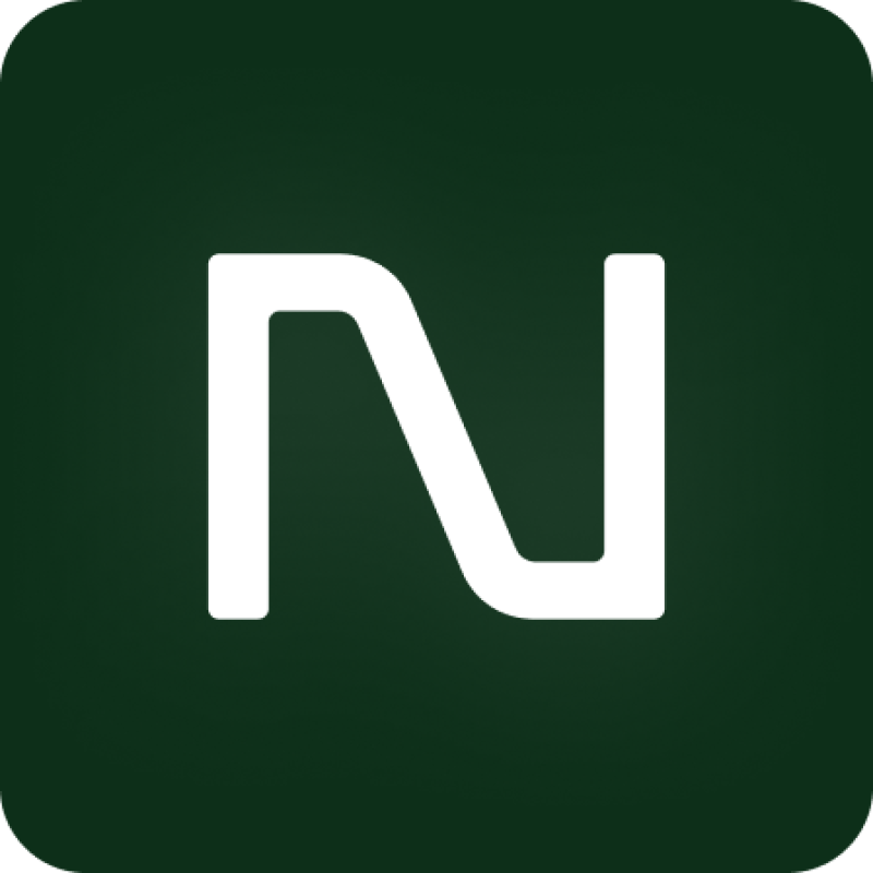 Netic logo