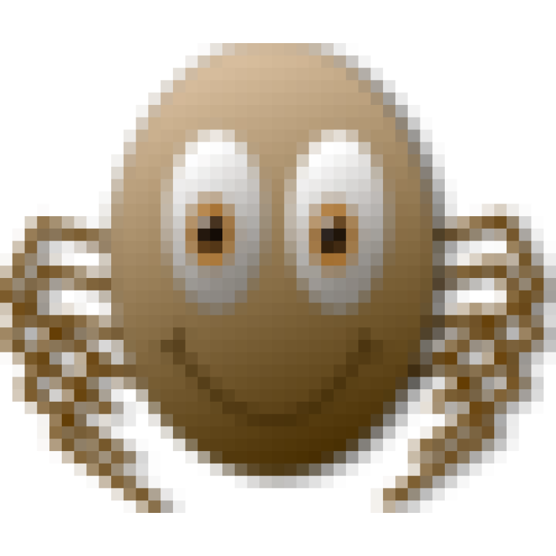 arachnoid.com