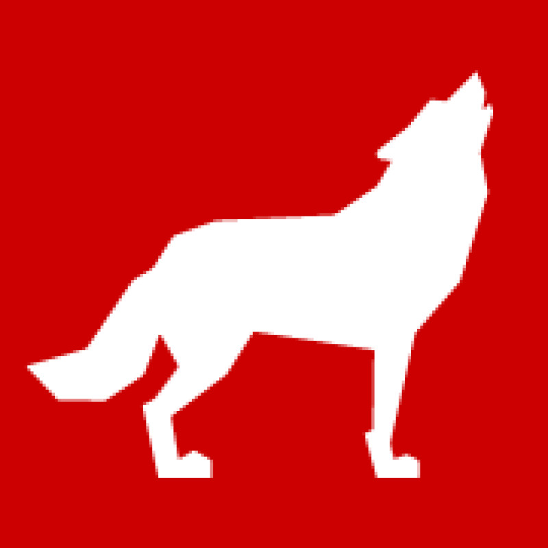 repository.lib.ncsu.edu