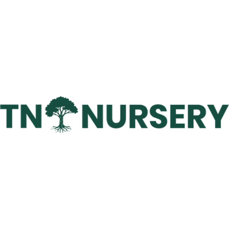 TN Nursery logo