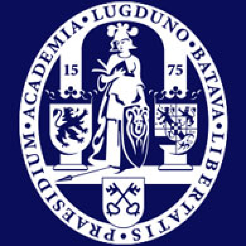 search logo