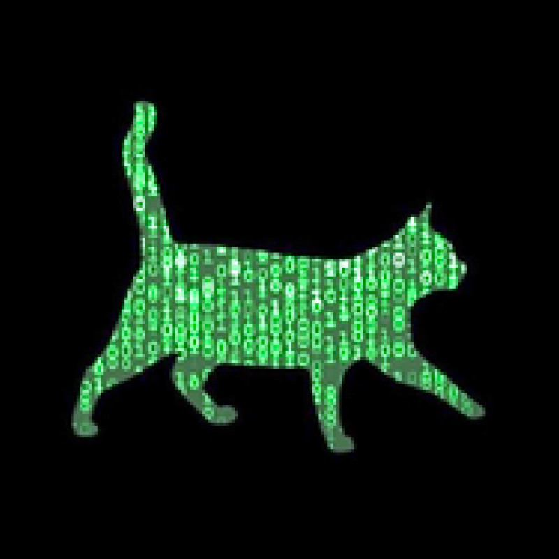 ~this week in security~ logo