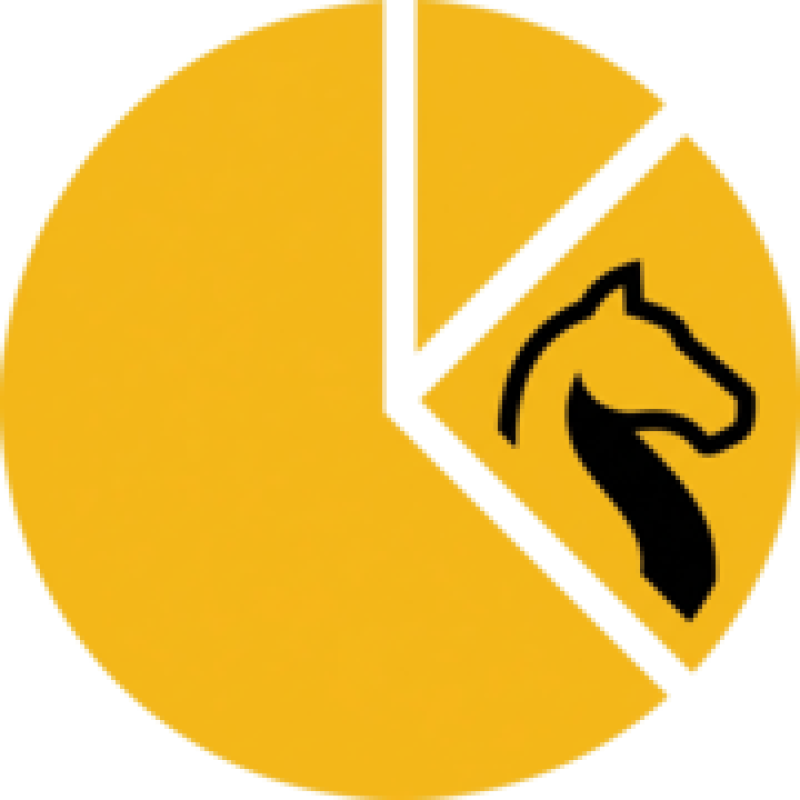 Chessperiment logo