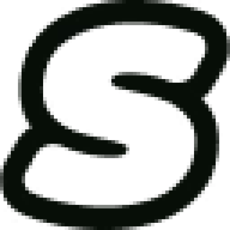 Bigspin logo