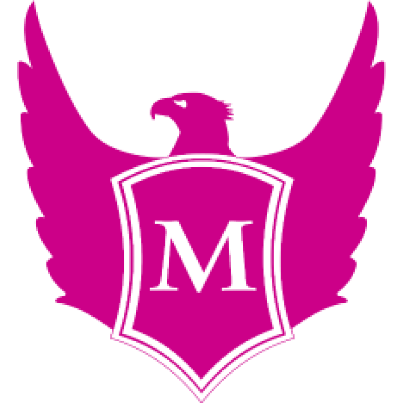 Meiert logo