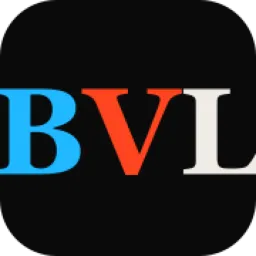Bitvibelabs logo