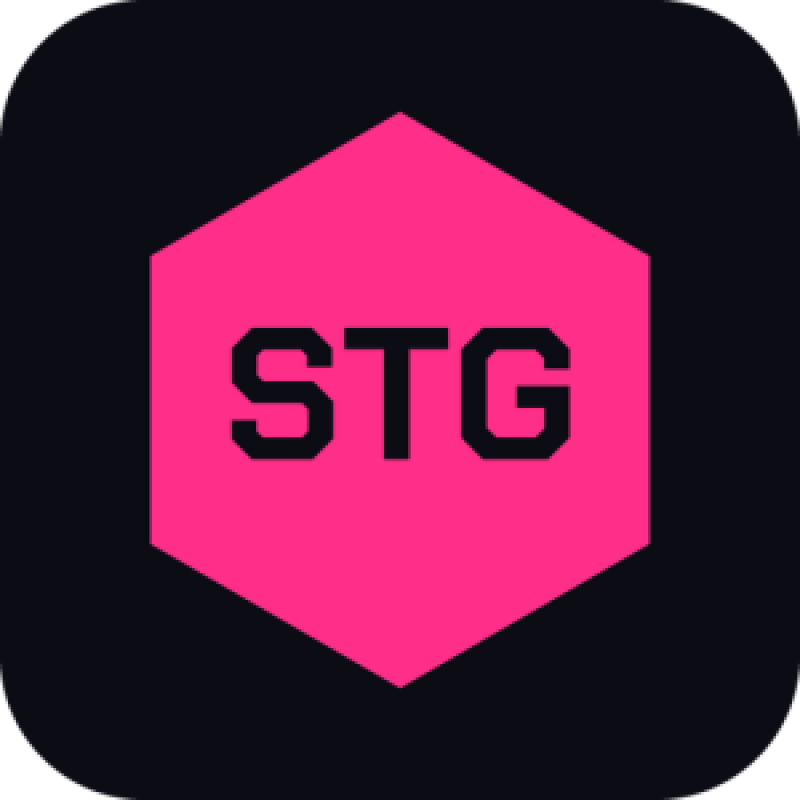 Shane the Gamer logo