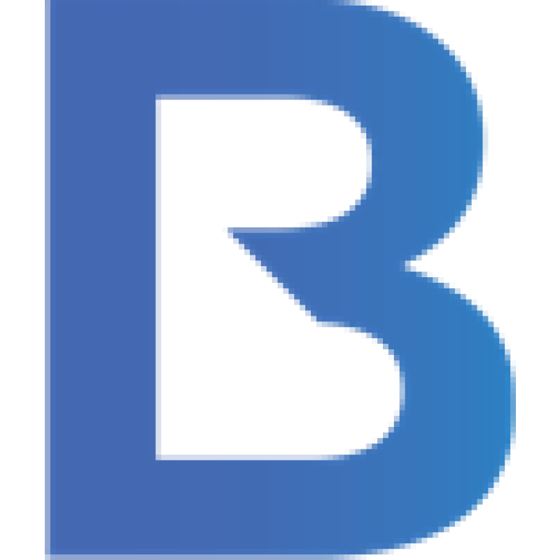 theb1m.com