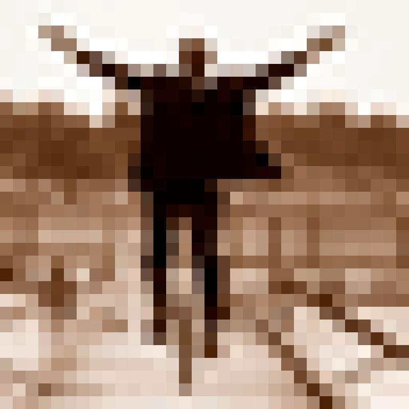 benhoyt.com