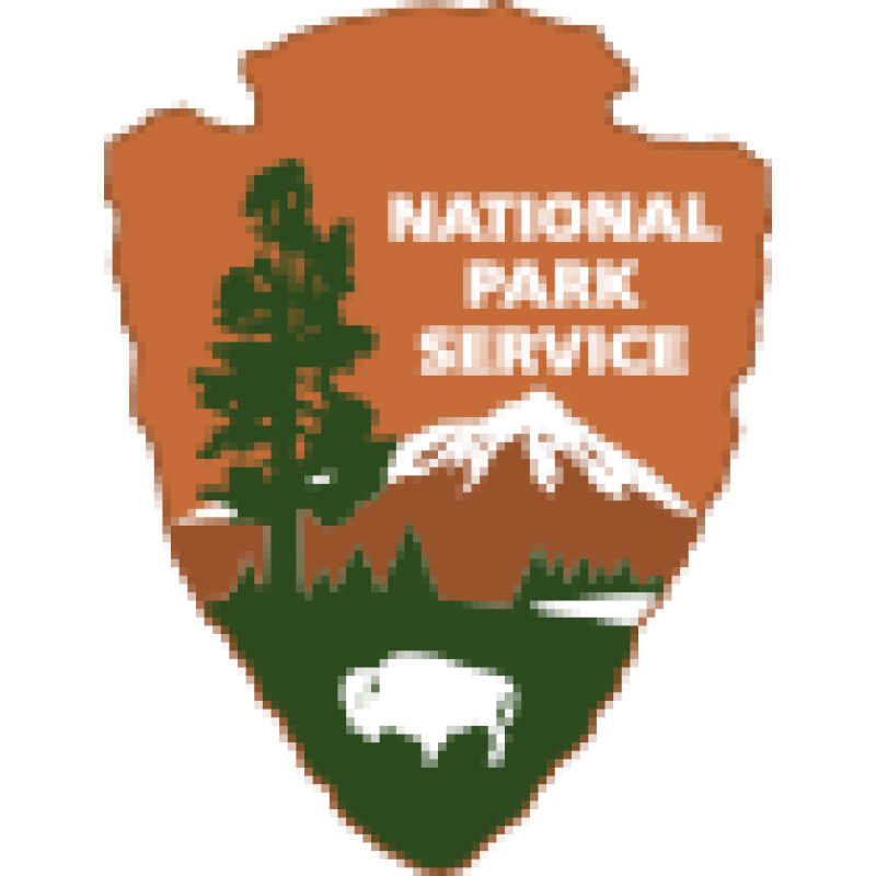 NPS