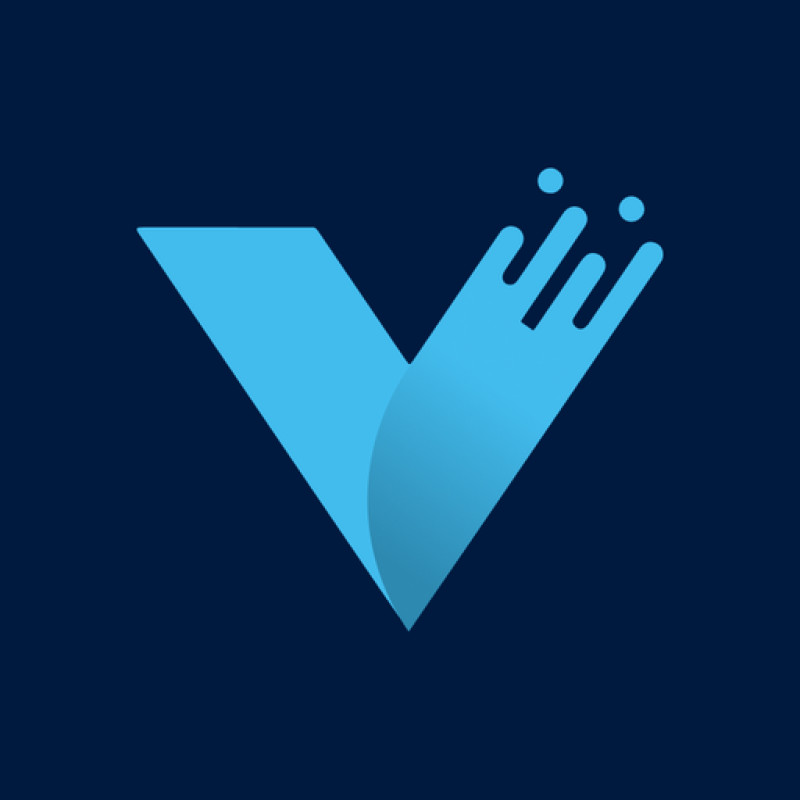 Verasight logo