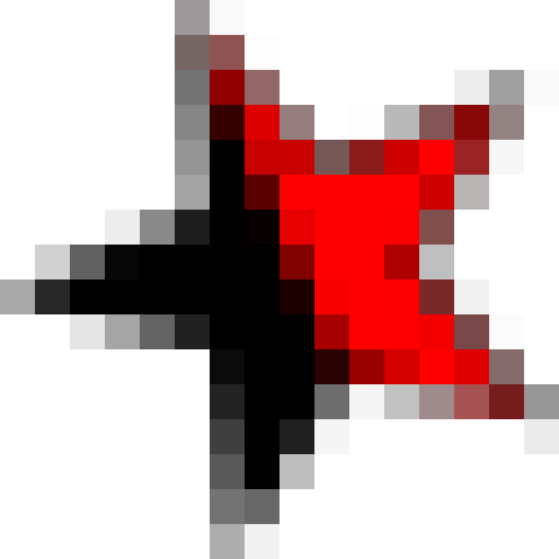 riseupnet logo
